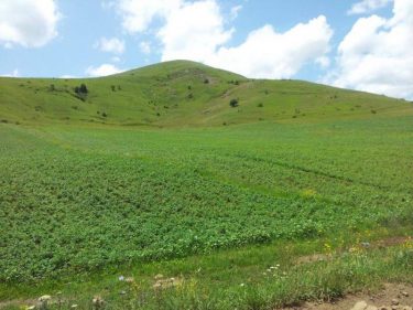 Socar to supply carbamide to the Azeri market