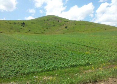 Socar to supply carbamide to the Azeri market