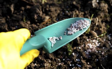 Acron’s production of compound fertilizers has collapsed