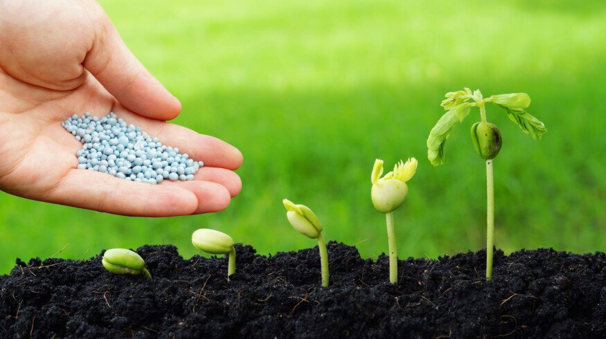 Fertilizer production is growing in Russia