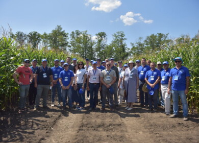 Dekalb on a new development pathway