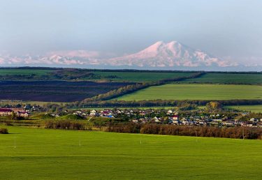 Fertilizer prices have soared again in the Stavropol Krai