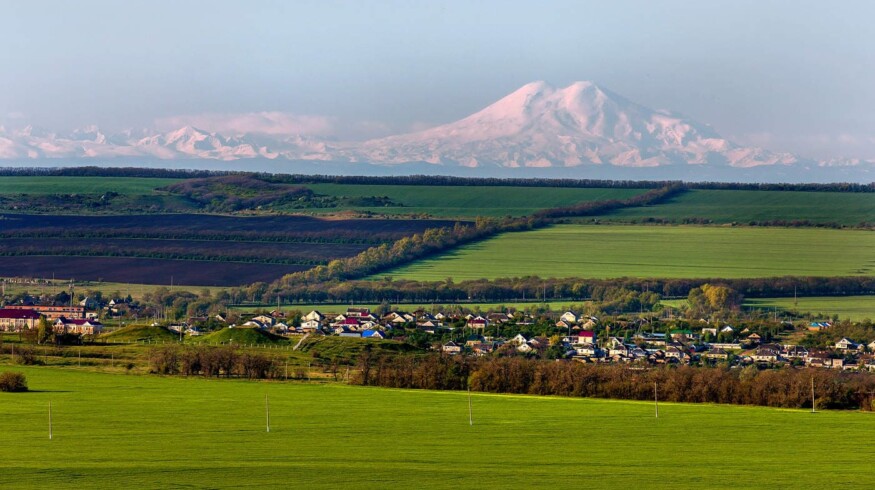 Fertilizer prices have soared again in the Stavropol Krai