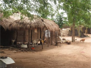 Helping smallholder farmers in Ghana