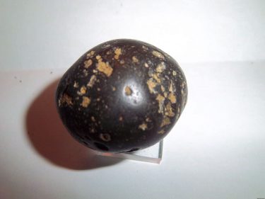 Phosphorite deposit has not found an owner