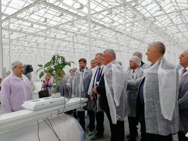 A large greenhouse complex launched in Komi