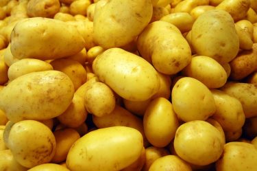 AFG National increased potato yield
