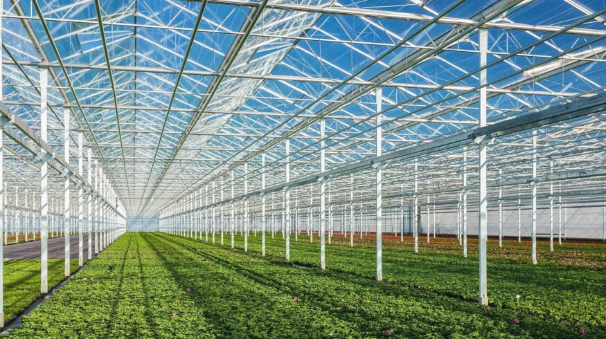 Renova going out of the greenhouse business