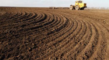 Autumn sowing begins in the Stavropol Krai