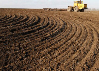 Autumn sowing begins in the Stavropol Krai