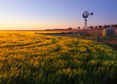 Nutrien wants to buy Ruralco