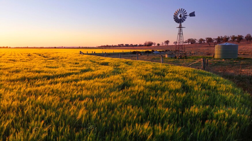 Nutrien wants to buy Ruralco
