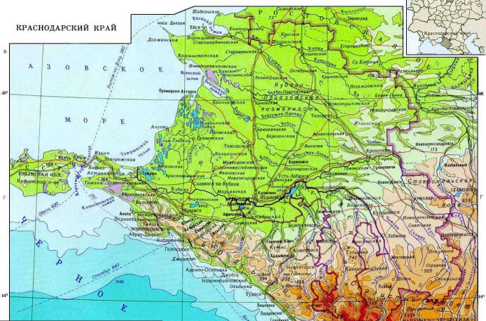 Winter crops are sown in the Krasnodar Krai