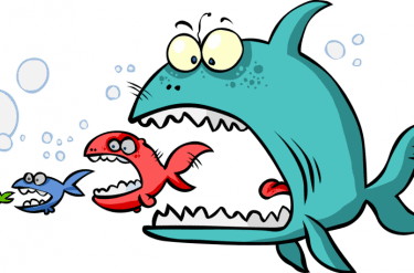 Nutrien completed takeover of Ruralco