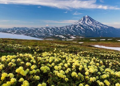 Kamchatka is dealing with “fish broth”