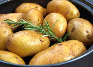 Russia to harvest plenty of potatoes and sunflower seeds