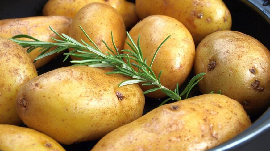 Russia to harvest plenty of potatoes and sunflower seeds