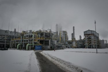 Ammoni goes bankrupt