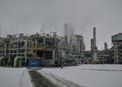 Ammoni goes bankrupt