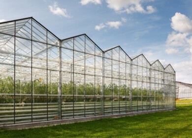 1,125 ha of greenhouses to be built and modernized in Russia by 2025