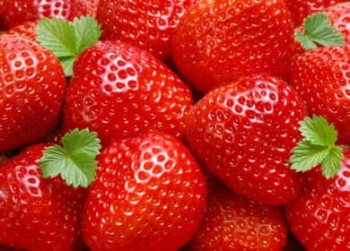 JGC Evergreen to grow strawberries in the Khabarovsk Krai