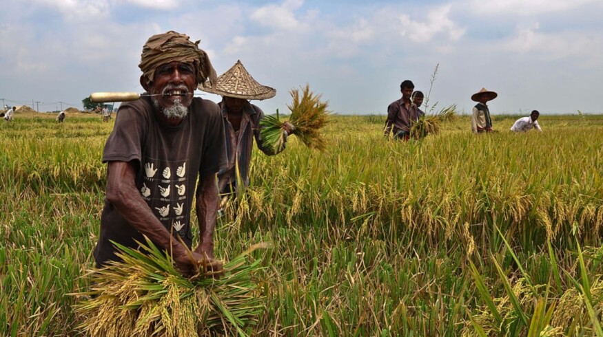 Diammonium phosphate to come down in Bangladesh