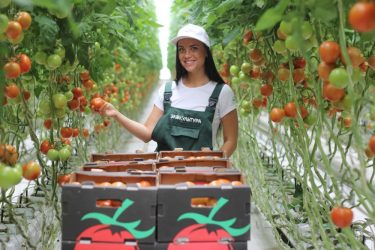 ECO-Culture plans expansion of greenhouse capacities