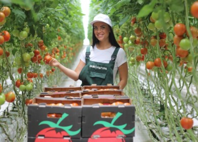 ECO-Culture plans expansion of greenhouse capacities