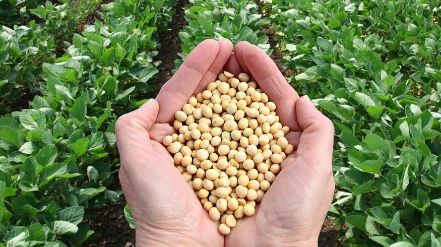 New tools to support agriculture to be introduced in Russia