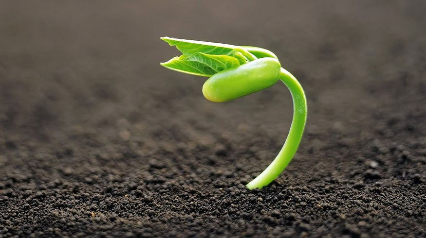 BlauChem to build several plants in Ukraine