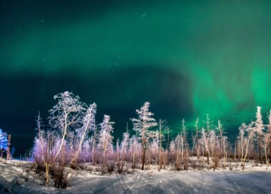 An agricultural boom is projected in the north of Krasnoyarsk Krai
