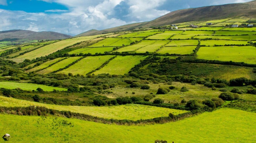 Fertilizer application rules has changed in Northern Ireland