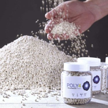 Anglo American buys Sirius Minerals