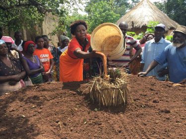 Zimbabwe is nearing collapse
