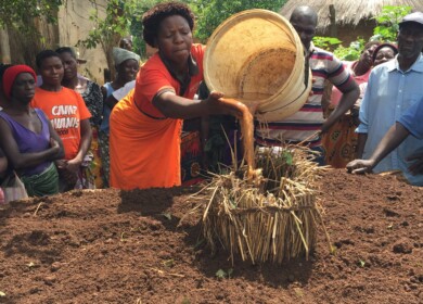 Zimbabwe is nearing collapse