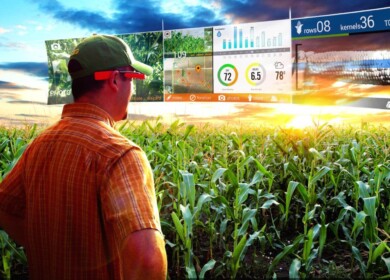 Digital Agro became an InfoBis’s investor