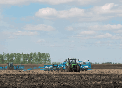 Damate to make changes in Penza Region