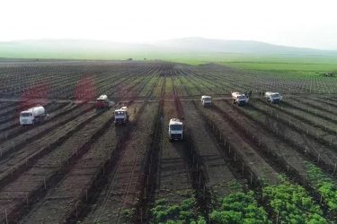 Agrochemicals market completely liberalized in Azerbaijan