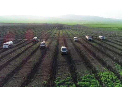 Agrochemicals market completely liberalized in Azerbaijan