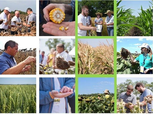 FES-Agro has expanded its customer base by 40%