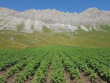 North Ossetia to introduce ecological farming