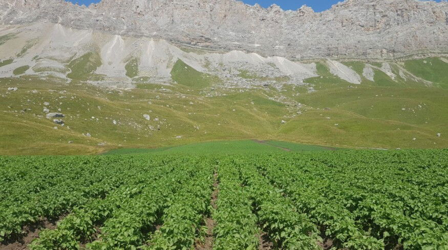 North Ossetia to introduce ecological farming