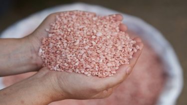 Russian exports of potash fertilizers have doubled