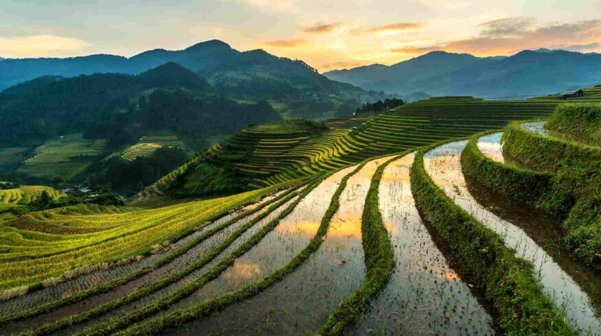 Vietnam extends safeguard actions on imports of phosphorus fertilizers