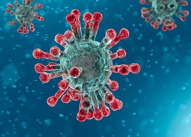 Highfield Resources fights Coronavirus