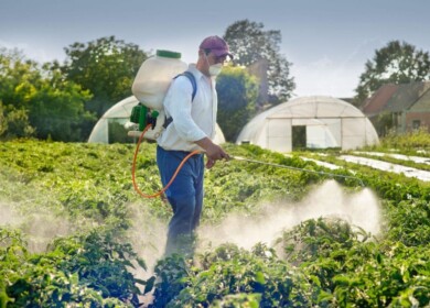 Russians have been advised to think about crop protection