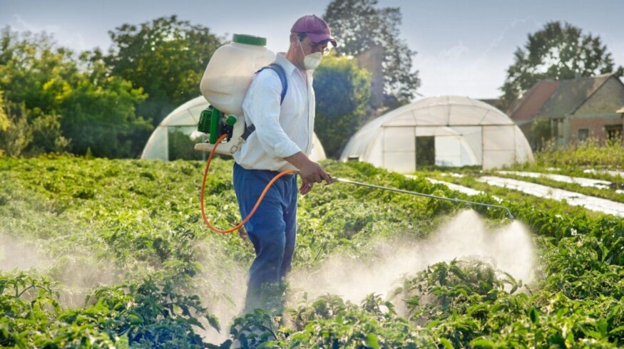 Russians have been advised to think about crop protection