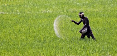 Deepak Fertilizers and Petrochemicals has stopped fertilizer production