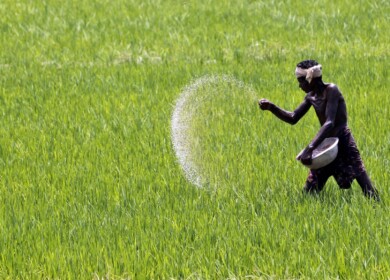 Deepak Fertilizers and Petrochemicals has stopped fertilizer production