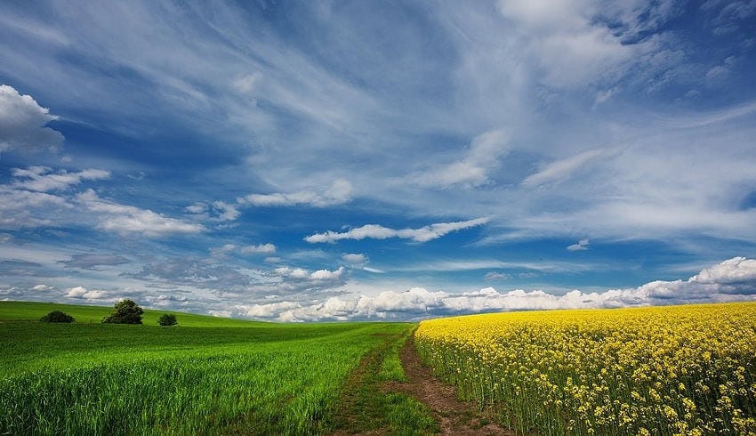 Nutrien looking at the good side of spring 2020